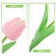 thumbnail image 5 of 10 tulipanes artificiales de imitación para ramos de boda y centros de mesa., 5 of 6