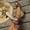 Coffee, variant on Women's Open Toe Kitten Heels Sandals Slip On Bow Mesh Mules Heels Comfortable Wedding Bridal Party Dress Shoes Coffee 9.5(43)