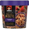 Quaker Real Medleys Oatmeal Summer Berry Oatmeal+ Bundle, 2.46 oz Cup