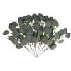 20PCS Simulated Tree Leaves Branches Home Outdoor Party Green Plants Ornaments Realistic Eucalyptus Tree leaves Decoration Plastic Greenery Plants Decoration for Home Decoration