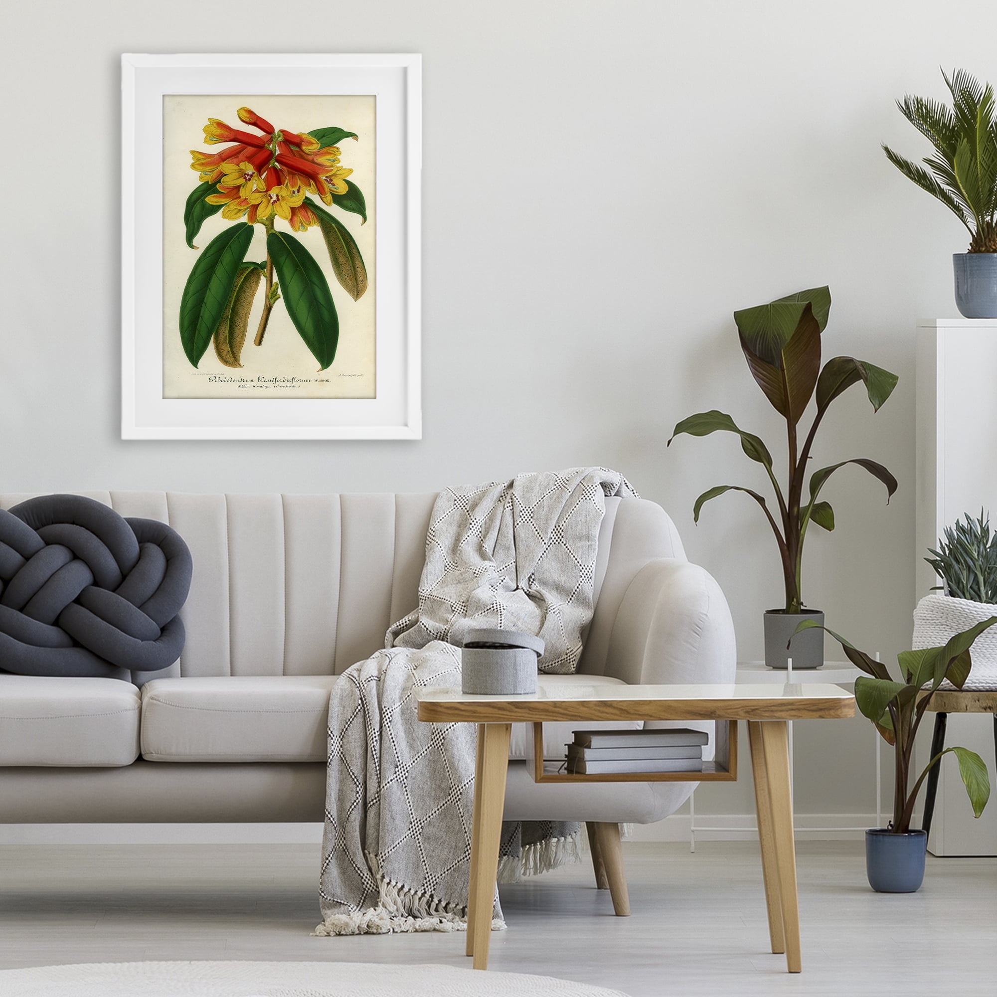 Stupell Industries Orange Yellow Rhododendron White Framed Print Under Glass, design by Print Collection