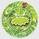 thumbnail image 2 of Pegatinas de vinilo con estampado de lechuga y verduras, impermeables, 50 unidades, 2 of 5
