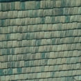 thumbnail image 1 of Ahgly Company Indoor Square Patterned Dinosaur Green Area Rugs, 4' Square, 1 of 6