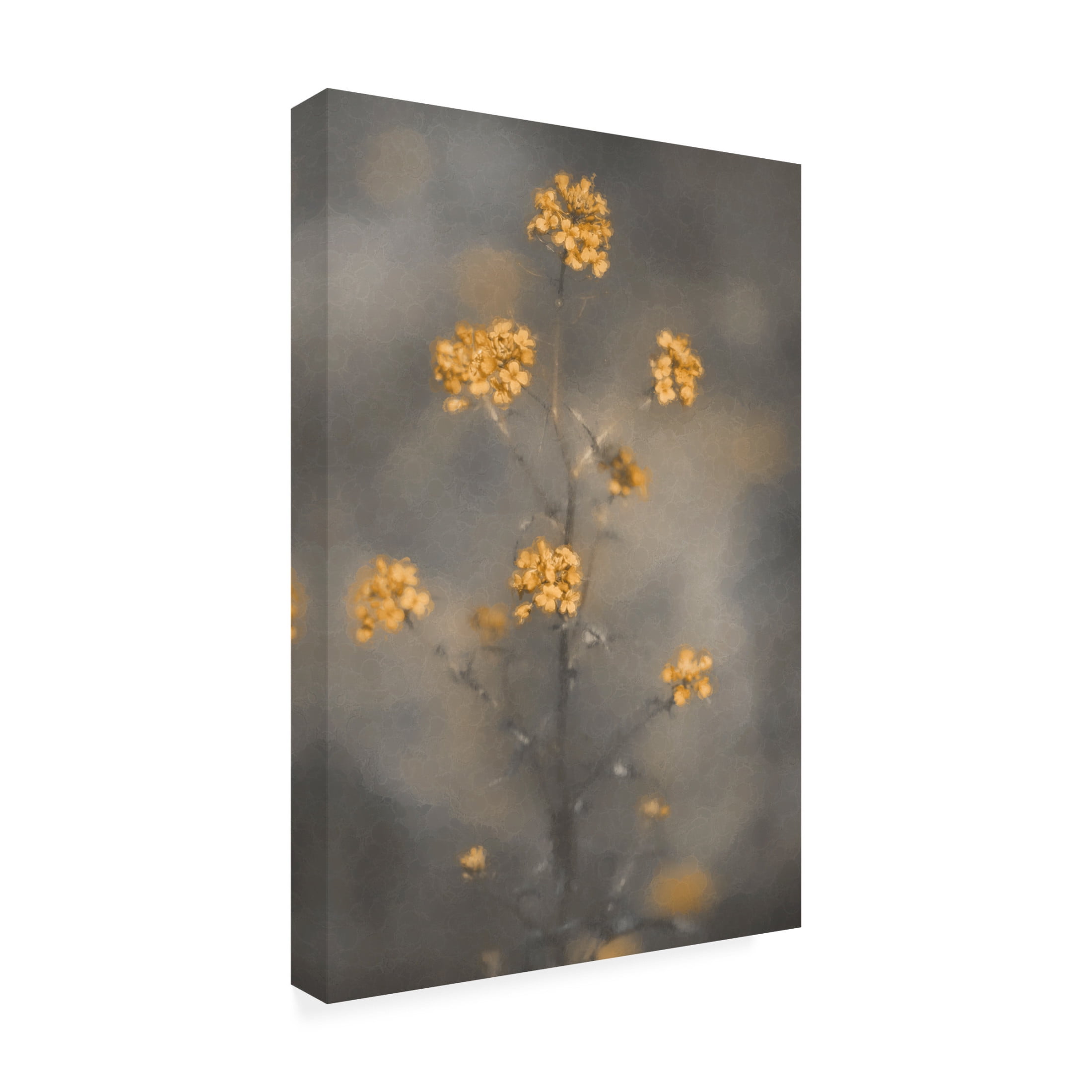 Trademark Fine Art Cicek Kiral Spring Vibes Canvas Wall Art