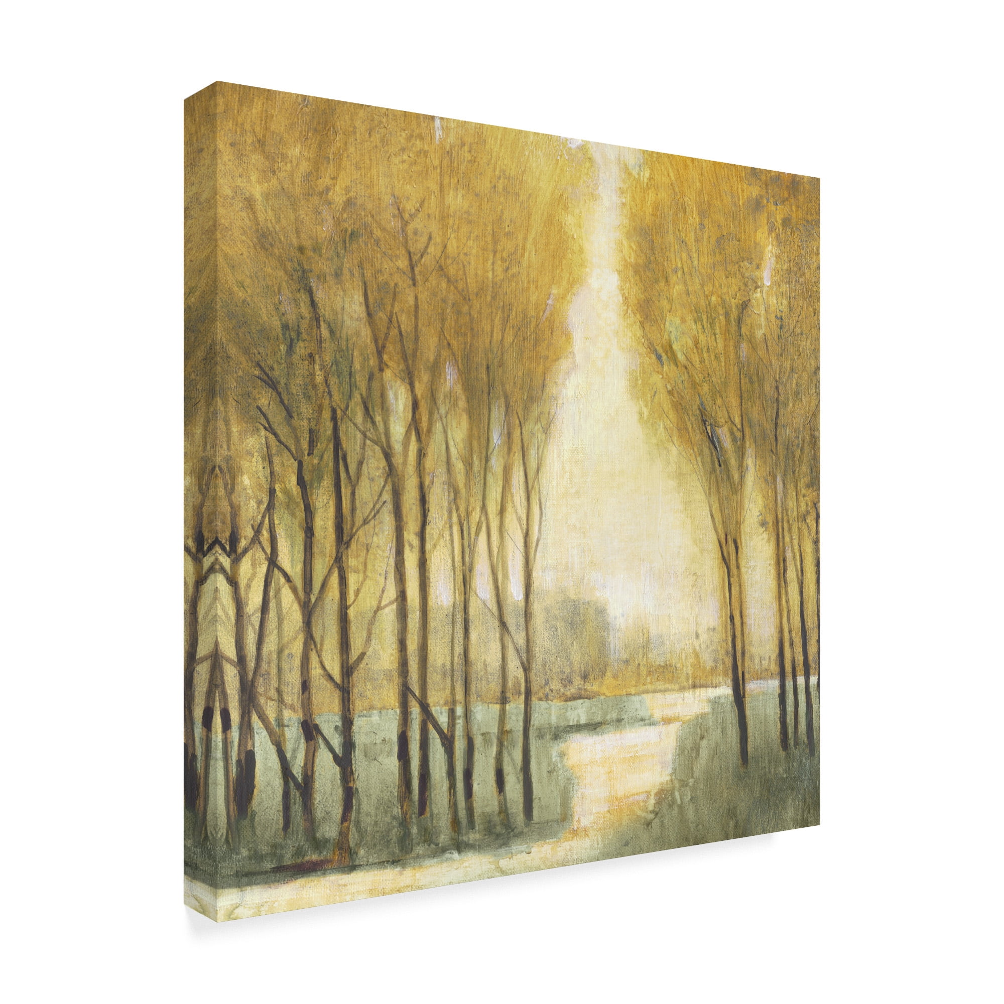 Pathway Sanctuary' Canvas Art by Tim OToole