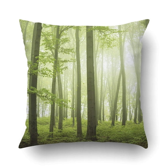 BOSDECO Trail In A Foggy Forest During Spring Green Into The Mist Pillowcase Pillow Cushion Cover 16x16 inch