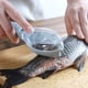 thumbnail image 2 of Suministros de herramientas de barra de cocina Fish Scale - Fish Scale Scraper Remover Plastic Fish Scale Skin Cleaner Handle Skin Peeler with Transparent Cover Kitchen Tool Accessories Zhivalor WL-00100, 2 of 4