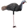 Edge Down N' Dirty Hen Decoy