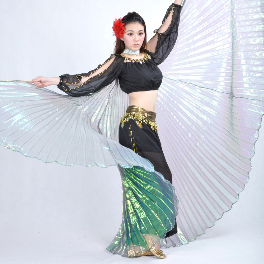 Premier Lightweight Super Endurance Upgrade Telescopic Stick Stainless Steel Telescopic Rod for Belly Dance Isis Wings,Steel