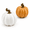 White & Orange, variant on White & Orange Pumpkin Decorative Figurine Set of 2 for Fall Home Decor