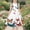 White, variant on YUANxueke Girls Sleeveless Dress Butterfly Print Crew Neck A-Line Dress Casual Summer Swing Tank Sundress for 4-14 Years