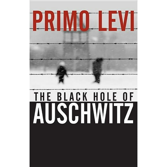 The Black Hole of Auschwitz, (Paperback)