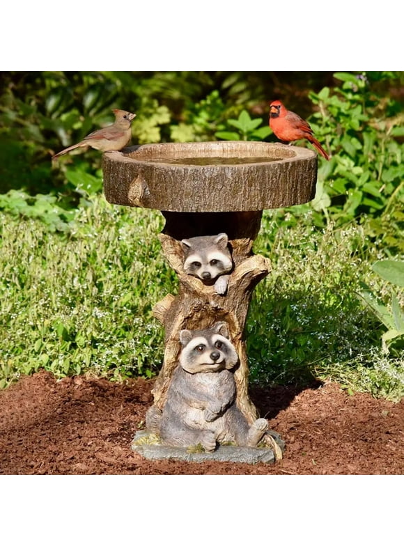 Resin Bird Baths Clearance, Discounts & Rollbacks