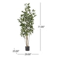 thumbnail image 3 of GDF Studio Atoka 6' x 2.5' Artificial Laurel Tree, Green, 3 of 4