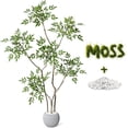 thumbnail image 3 of Ourlova Plante Artificielle de 5 Pi de Hauteur en Pots avec Feuilles Réalistes, 3 of 7