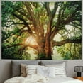 thumbnail image 2 of PRATYUS  Tapestries Wall Tapestry for Bedroom Decoration Nature Forest Tapestry Tree Tapestry Landscape Tapestry Dark Green Tapestry Decor Poster, Multi Size Painting, 2 of 6