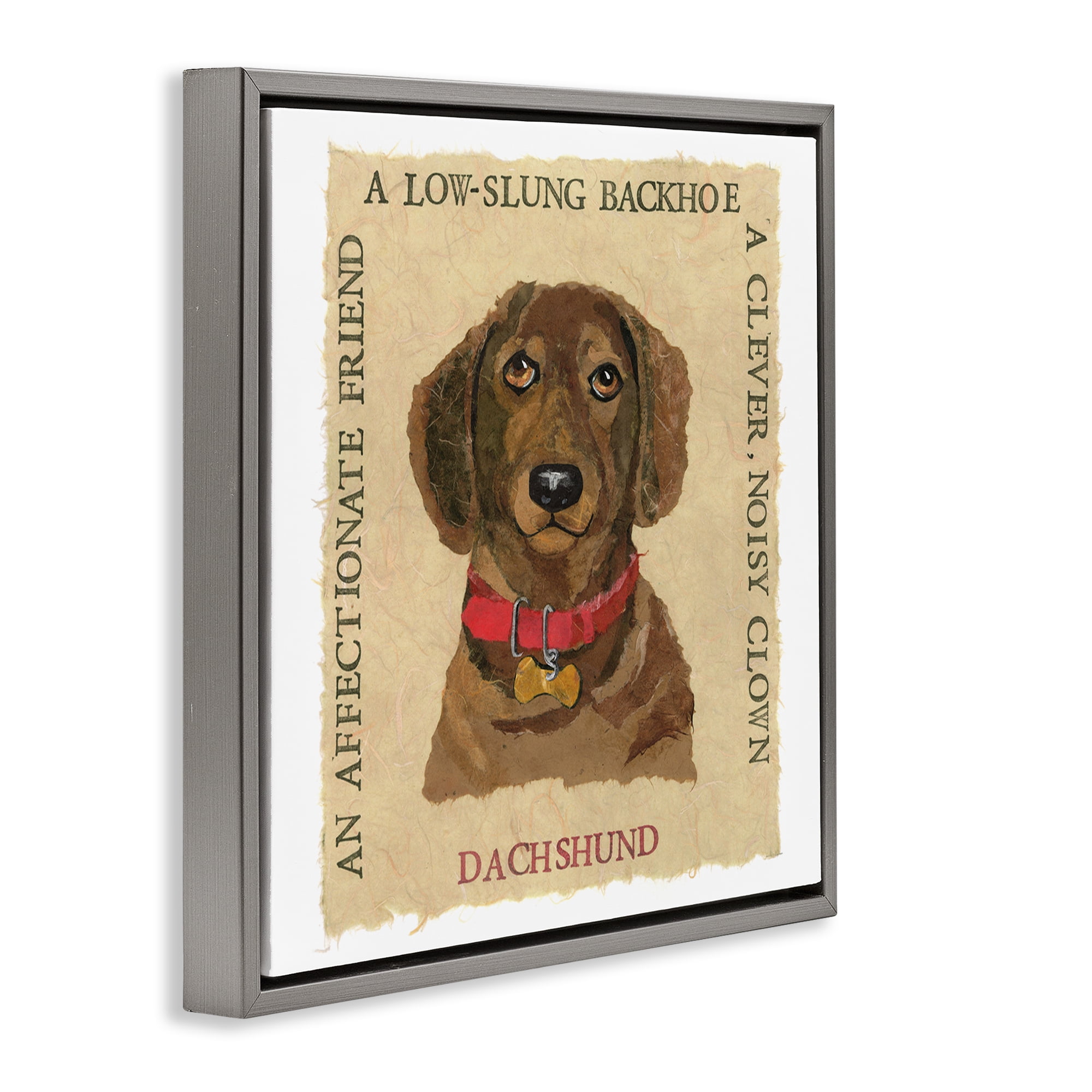 Stupell Industries Fun Dachshund Pet Phrases Animals Painting Gray Floater Framed Canvas Art Print Wall Art, 25 x 25