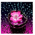 thumbnail image 4 of Juego de Pintura Decorativo de 5D Flor Morado Diamante Bordado Costura Números Interesante Baoblaze Pintura del diamante DIY, 4 of 7