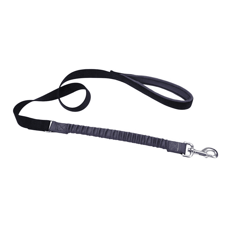 Black Bungee Dog Lead Neoprene Comfort Padded Handle Leash Gentle Stop