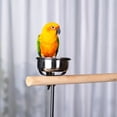 thumbnail image 3 of Prevue Pet Products Round Rolling Steel Bird Cage Portable Play Stand in Black with Perch, 3 of 10