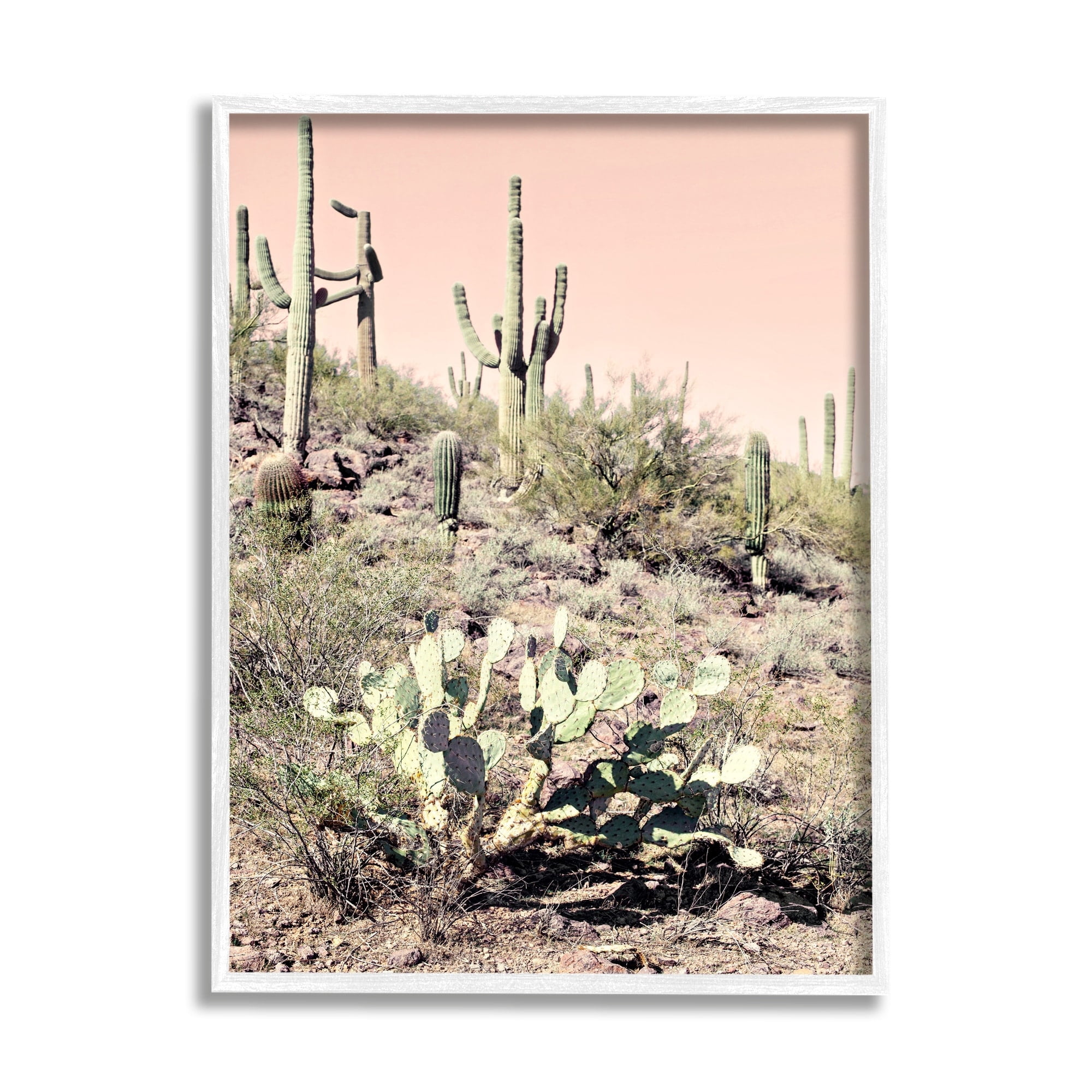 Stupell Industries Summer Dessert Landscape Cactus Prickly Pear Pink Sky, 24 x 30, Design by Susan Bryant