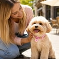 thumbnail image 7 of Adjustable Woven Rope Beaded Pet Collar Breakaway Quick Release Buckle Cute Flower Charm Decor Neck Collar for Cats Dogs Multiple sizes, 7 of 7