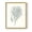 Gold, variant on Antique Coastal Coral I Framed Print in Pink Solid Wood Framed Print No Nail Hanging
