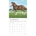 thumbnail image 3 of Magnificent Horses | 2025 12x24" (Hanging) 18 Month Wall Calendar | Jul '24 - Dec '25 | Plato, 3 of 9