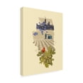 thumbnail image 2 of Jacob Green 'Illustrated State Illinois' Canvas Art, 2 of 3