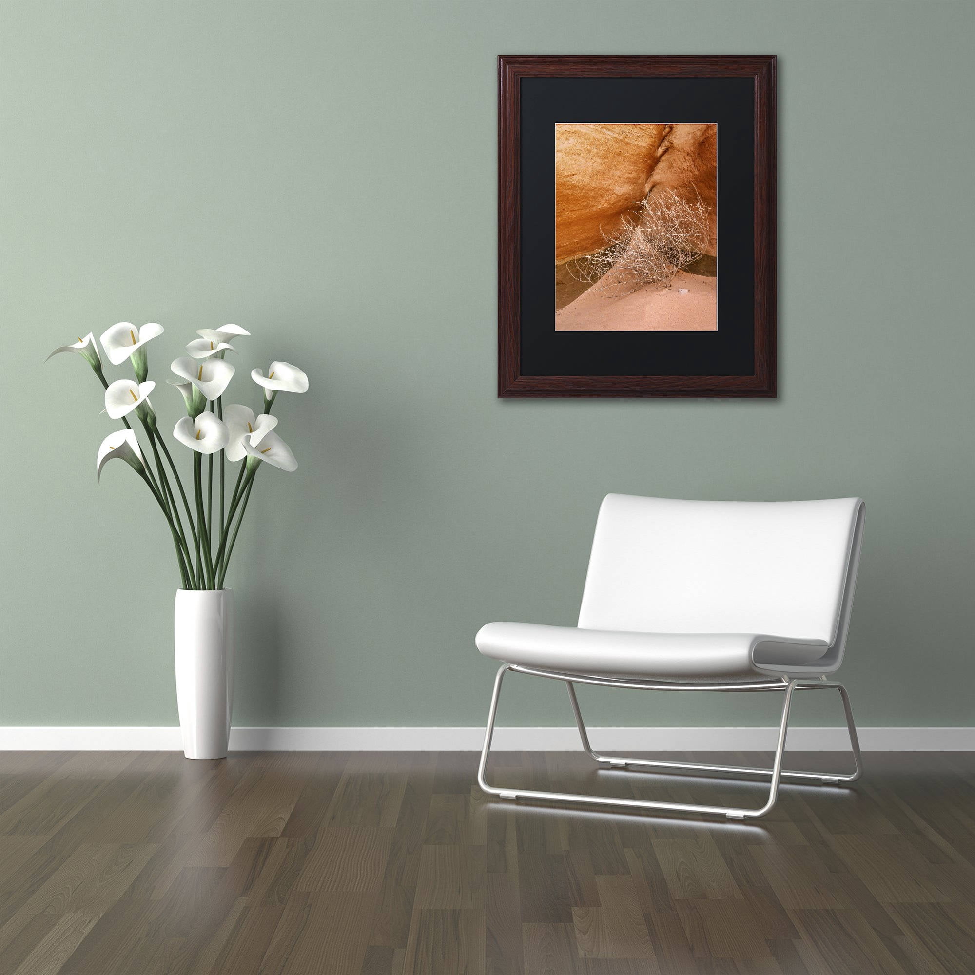 Trademark Fine Art 'Tumbleweed' Canvas Art by Michael Blanchette Photography, Black Matte, Wood Frame