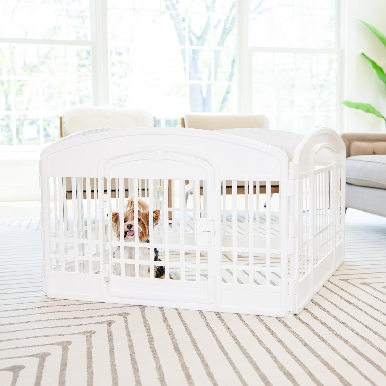 Carlson 24-Inch 4-Panel Plastic Pet Playpen with Door - White