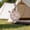 Apricot, variant on WIERPOP Temporary Drying Line Round Winding Reel, Portable Quick-Setup Design for Hotel Stays, Camp Laundry, Small Apartments