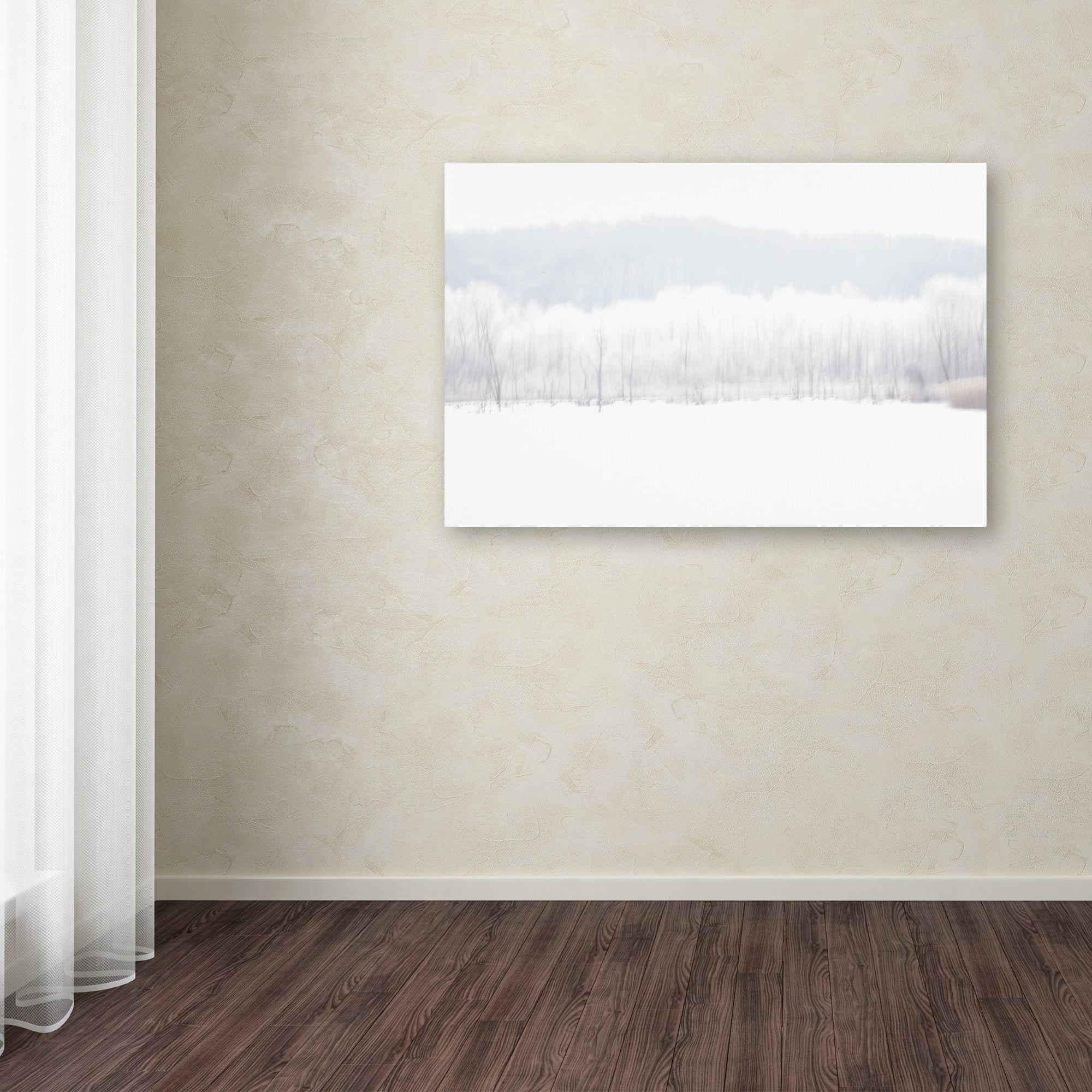 Trademark Fine Art "Abstract Winter Beaver Marsh" Canvas Art by Kurt Shaffer
