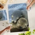 thumbnail image 5 of Lantern Press 1000 Piece Jigsaw Puzzle, San Diego, California, Sea Lions Cuddle, 5 of 5