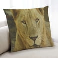 thumbnail image 1 of Ahgly Company Animals Lion Coussin Intérieur, 18 Pouces par 18 Pouces, 1 of 6