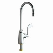 Chicago Faucet Gooseneck,Chrome,Chicago Faucets,350 350-317XKABCP