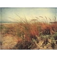 thumbnail image 2 of Amy Melious 44x34 Gallery Wrapped Canvas Wall Art Titled - Sand Dunes II, 2 of 4