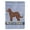 Brown, variant on Carolines Treasures CK3745GF Tan Goldendoodle Welcome Flag Garden Size  Small multicolor