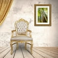 thumbnail image 3 of Stelfox, Norm 17x24 Gold Ornate Wood Framed with Double Matting Museum Art Print Titled - Trees Bathed in Light II, 3 of 4