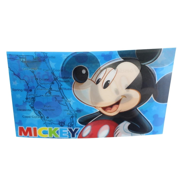 Disney Mickey Mouse Florida 3D Motion Picture Card Magnet