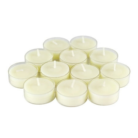 - Winston Porter Scented Tea Light Candle in Vanilla Scented Ivory (Set of 12)