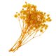 thumbnail image 1 of Flor Seca Macarena Decoración Navideña Estilo Rústico Amarillo, 1 of 8