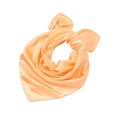 thumbnail image 1 of Pañuelo cuadrado pequeño de seda de imitación profesional monocromático de color sólido de satén de 60 cm, pañuelo cuadrado pequeño de regalo, pañuelo de seda pequeño de alto rendimiento, 1 of 6