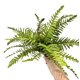 thumbnail image 2 of Ramo de hojas de helecho artificial de imitación de hierba persa | Plantas artificiales realistas para decoración del hogar | Vegetación duradera y sin mantenimiento para oficina, sala de esta, 2 of 5