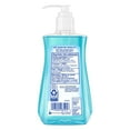 thumbnail image 3 of Dial Antibacterial Liquid Hand Soap, Spring Water 221mL, 3 of 3