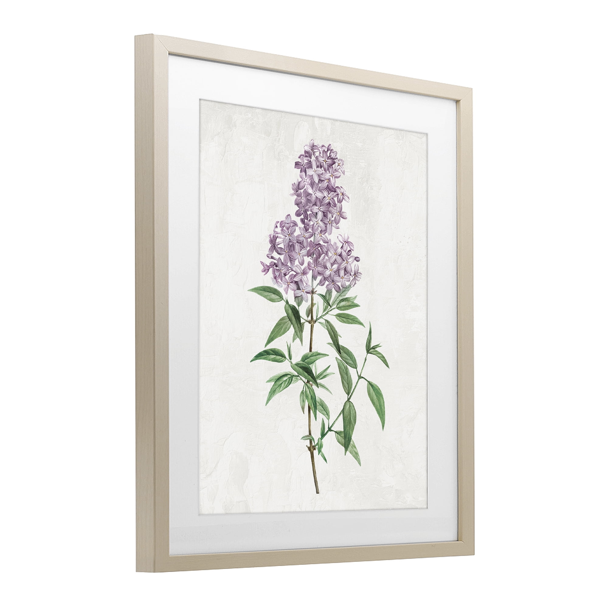 Stupell Industries Lilac Blossoms Blooms Birch Framed Print Under Glass, design by Kim Allen