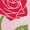 HEATHER PINK, variant on Disney - Like Rose Stand Tall Women's Short Sleeve Graphic T-Shirt