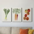 thumbnail image 2 of Organic Veg II Premium Gallery Wrapped Canvas - Ready to Hang - 32 x 48 Each, 2 of 10