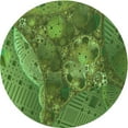 thumbnail image 1 of Ahgly Company Machine Washable Indoor Round Transitional Pea Green Area Rugs, 5' Round, 1 of 7