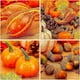 thumbnail image 3 of Juego de 128 minicalabazas artificiales para Halloween, decoración de bellotas, piñas y hojas de arce, bellotas de otoño., 3 of 5
